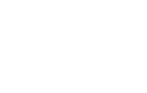 Wisplan Logo